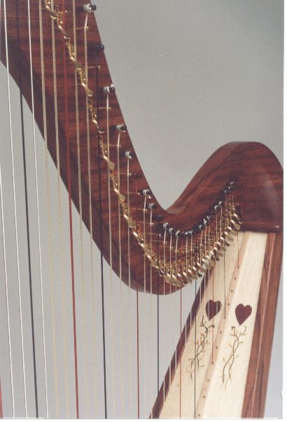 Harps and harps c40ext closeupper