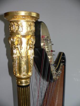 Harps and harps donald grecian top