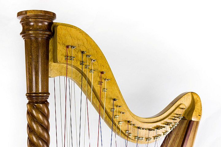 Harps and harps image 7