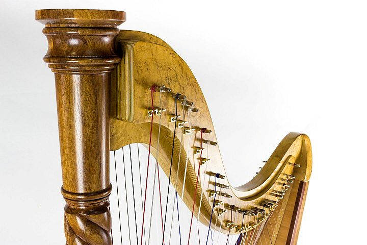 Harps and harps image 8